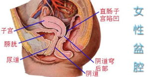 呼和浩特盆腔炎的检查方法！