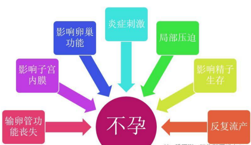 盆腔炎症性疾病对于不孕的影响,往往是多方面的,局部的粘连、积水、感染等都可能影响受孕。与此同时,盆腔炎性疾病还有可能降低卵母细胞治疗,影响胚胎发育,降低试管婴儿的成功率。