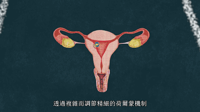 女性为什么会有月经?