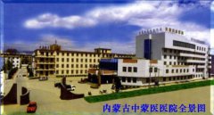内蒙古自治区中蒙医医院