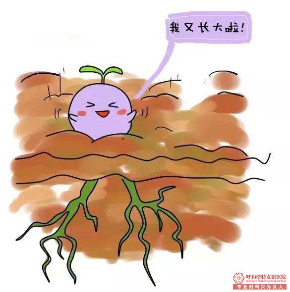 怀孕一个月左右选药流还是无痛人流好
