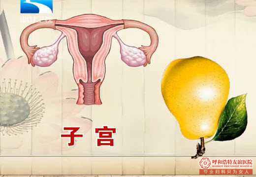导致女性不孕的因素有哪些