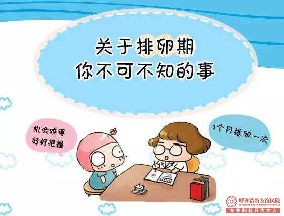 做排卵监测的注意事项你知道吗
